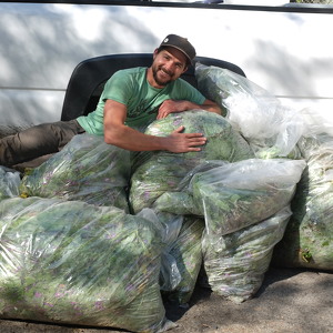 Fundraising Page: Cody Chambers